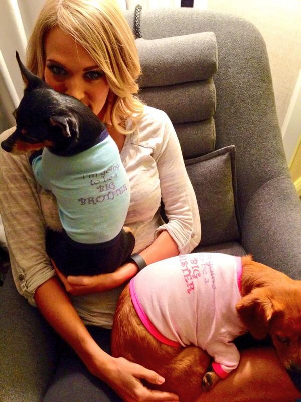 Carrie Underwood Dogs Make Big Announcement on Labor Day! Check Out What They Have to Say image27 Carrie Underwood Dogs Make Big Announcement on Labor Day! Check Out What They Have to Say