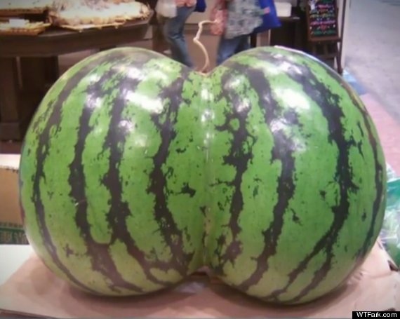 Odd shaped Fruit Mimics Nicki Minajs Behind; 8 Others Try To Make Their Own Impression image65 Odd shaped Fruit Mimics Nicki Minajs Behind; 8 Others Try To Make Their Own Impression