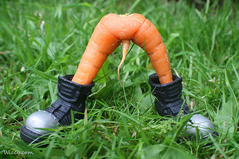 Odd shaped Fruit Mimics Nicki Minajs Behind; 8 Others Try To Make Their Own Impression image70 Odd shaped Fruit Mimics Nicki Minajs Behind; 8 Others Try To Make Their Own Impression