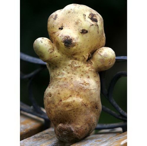 Odd shaped Fruit Mimics Nicki Minajs Behind; 8 Others Try To Make Their Own Impression image72 Odd shaped Fruit Mimics Nicki Minajs Behind; 8 Others Try To Make Their Own Impression