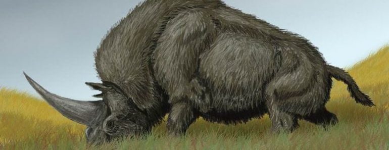 Did Unicors ever exist?