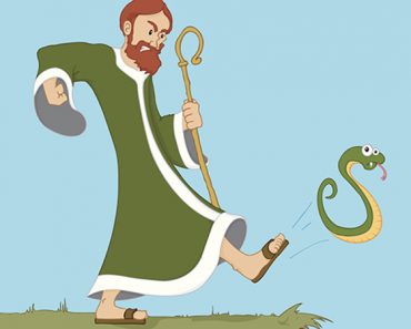 Why are there no snakes in Ireland