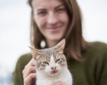 Why do cats like earwax